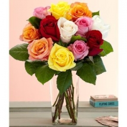 20 Multicolor Roses In Vase