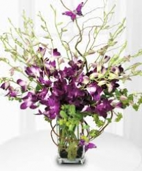 Orchid Vase Arrangement