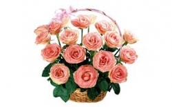 15 Pink Roses Basket Arrangement