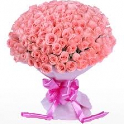 100 Pink Roses Bunch 