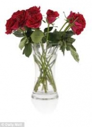 5 Roses In Vase 