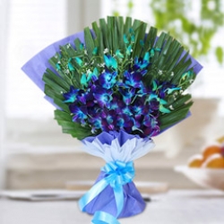 Blue Orchid Bunch 