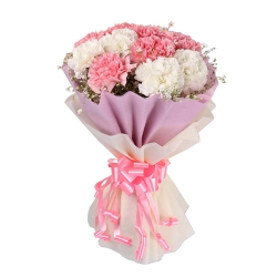 White And Pink Carnations Bunch 