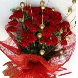 Red Carnation Bouquet