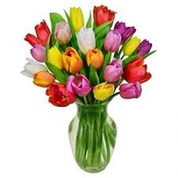 Multi Color Tulip Bouquet