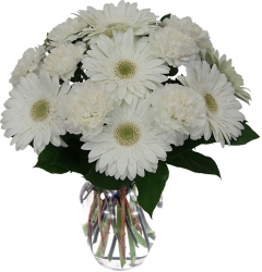 White Daisies Special 