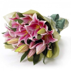 Gift Wrapped Pink Lilies