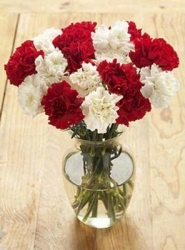 Red And White Carnations Bouquet