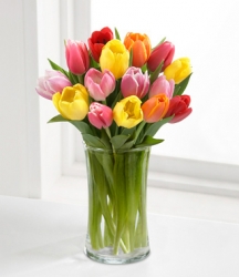 Colourful Tulip Vase Arrangement  