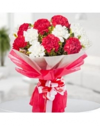 Bunch Of Red And White Carnations 