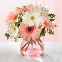 Daisies In A Glass Vase