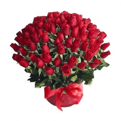 2 Dozen Red Roses Bouquet 