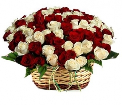 Spectacular Rose Bouquet
