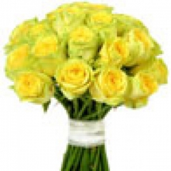 Hand Tied Bunch Of  50 Yellow Roses