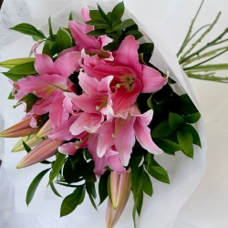 Bouquet Of  Pink  Lilies