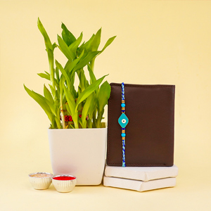 2 Layer Good Luck Plant Paired with Rakhi & Wallet