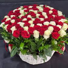 A basket arrangement with fifty red and white roses
