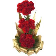 A red carnation in a basket