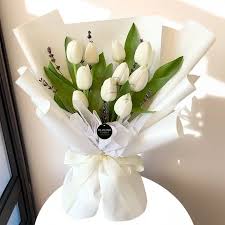 A White Tulip Encased in High-End Paper