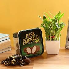 Amul Emerald added with 2-layer good luck plant