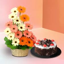 Assorted Gerbera Arrangement with Black Forest Cake