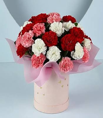 Awesome White, Pink, and Red Carnations combined in a Pink Box