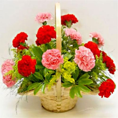 Beautiful arrangement of red and pink carnations in a basket