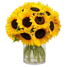 Bright Sunflowers in vase