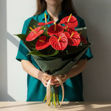 Captivate Red Anthurium Bouquet