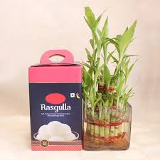 Delicious Rasgullas & Good Luck Plant
