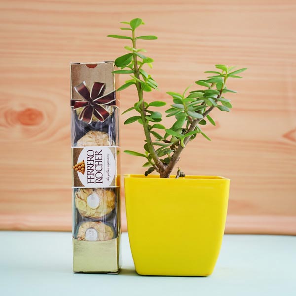 Elegant Leafy Birthday Present Set