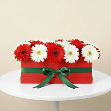 Elegant Red Box with White & Red Gerberas