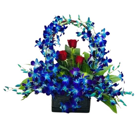 Exotic Blue Orchid & Red Rose Flower Box
