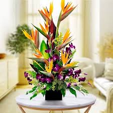 Exotic Elegance