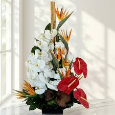 Exotic Tropical Flower Basket – White Orchids, Bird of Paradise & Red Anthurium