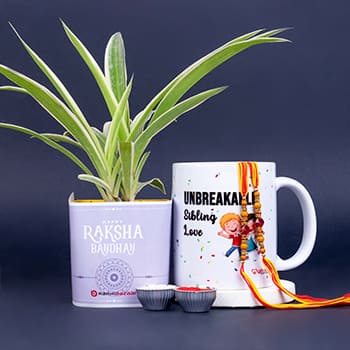 Fancy Pearl Rakhi combined with customised mug and spider plant.