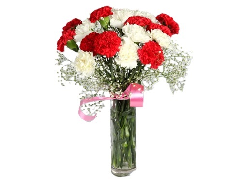 Glass Vase Bouquet with Two-Colored Carnations