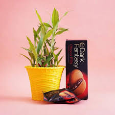 Good Luck 2 Layer Bamboo Plant Paired with Sunfeast Cookies