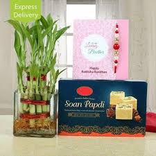 Good Luck Plant, Fancy Rakhi & Delicious Soan Papdi combo