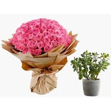 Gorgeous Bouquet of Pink Roses with a Green Jade Plant