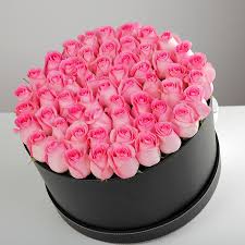 Light Pink Roses in Black Box