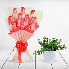Lovely Kit Kat Chocolate Bouquet & Jade Plant