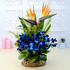 Mesmerize Blue Orchids Paired with Exotic Bird of Paradise