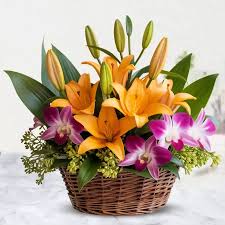 Orchids and Lilies in a Lush Floral Bliss