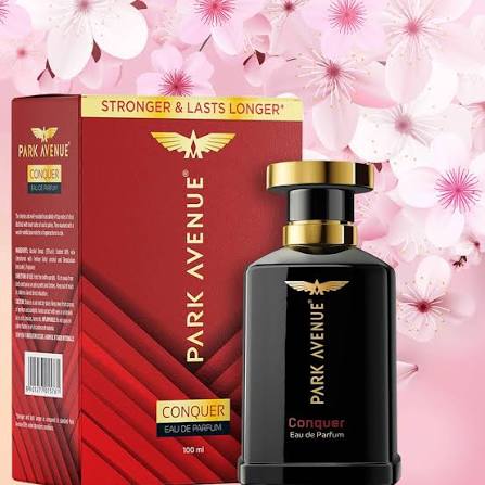 Park Avenue Conquer Perfume for Men