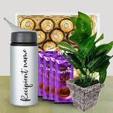 Personalized Sipper, Artificial Plant with Chocolate Combo.