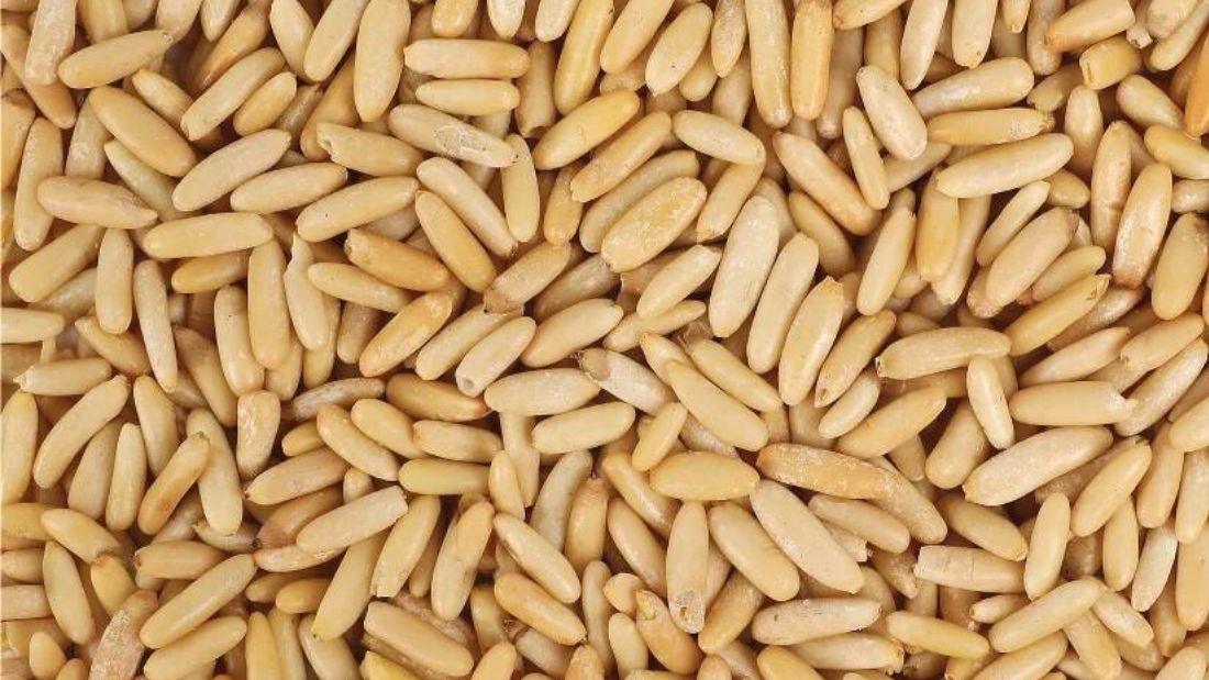Pine Nuts (Chilgoza) 500grams