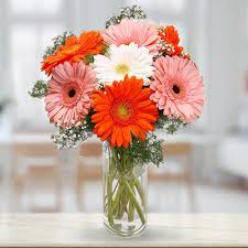 Pink, white, and orange Gerberas in vase