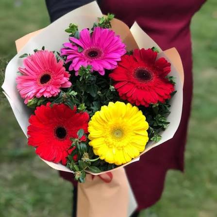 Posy Multicolor Gerberas Bouquet