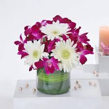 Pretty blue orchid with white gerbera in a vase.